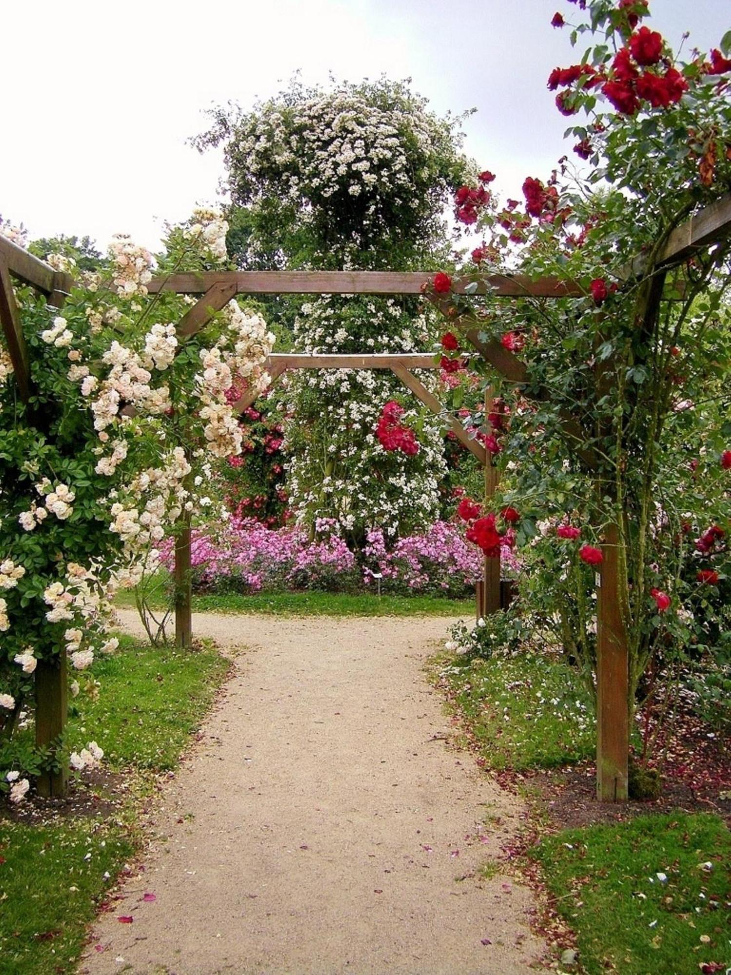 La Cloue Bed & Breakfast Sainte-Marie-du-Bois  Dış mekan fotoğraf